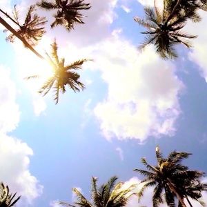 Meet your Posher, Julianna